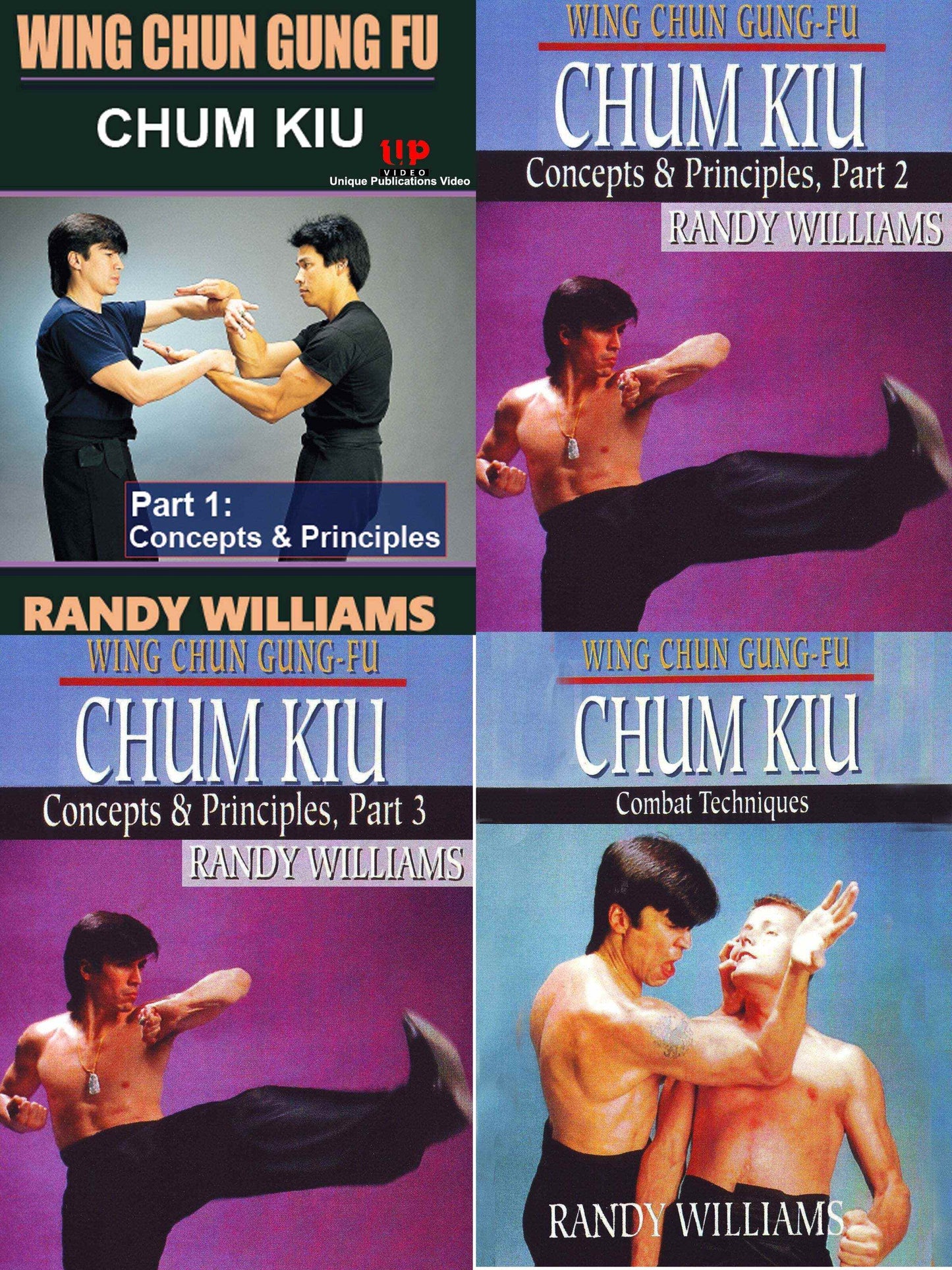 9 DVD SET Comprehensive Vee Arnis Jitsu Instruction DVD Prof. David James