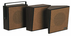 1Watt 1Way Wall Speaker - Brown