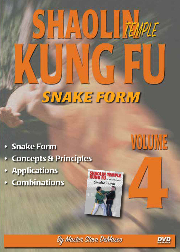 Shaolin Kung Fu #4 DVD Steve DeMasco Snake Form Concepts principles applications